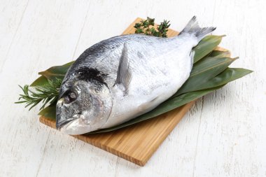 ham dorado balığı