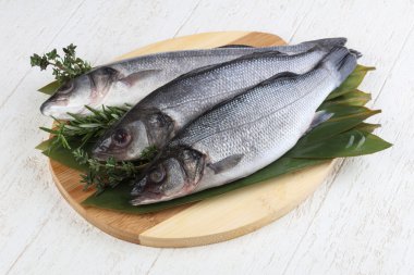 Çiğ deniz kabuğu balığı