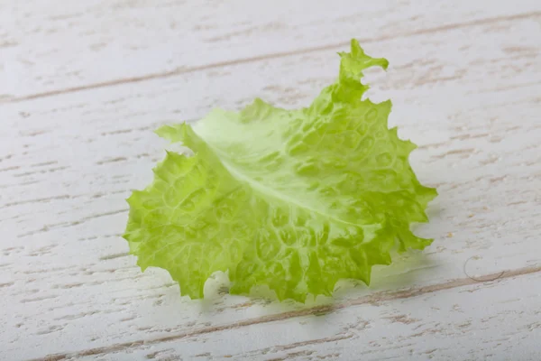 Fresh green Salad leaves — Stock Photo, Image