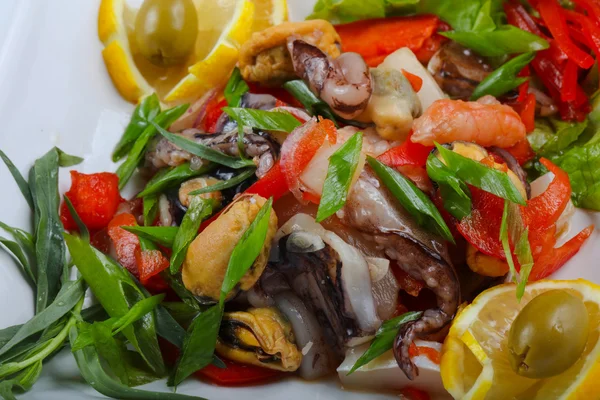 Salada de mistura de marisco — Fotografia de Stock