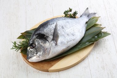 ham dorado balığı