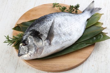 ham dorado balığı