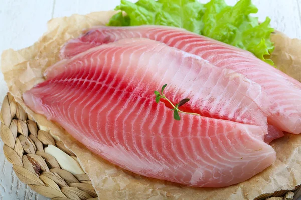 원시 Tilapia 필렛 — 스톡 사진