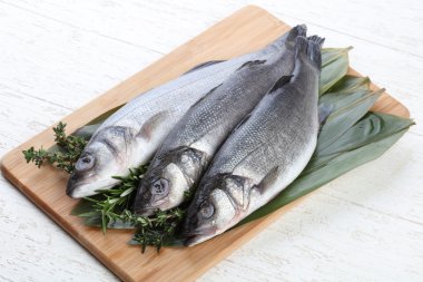 Çiğ deniz kabuğu balığı