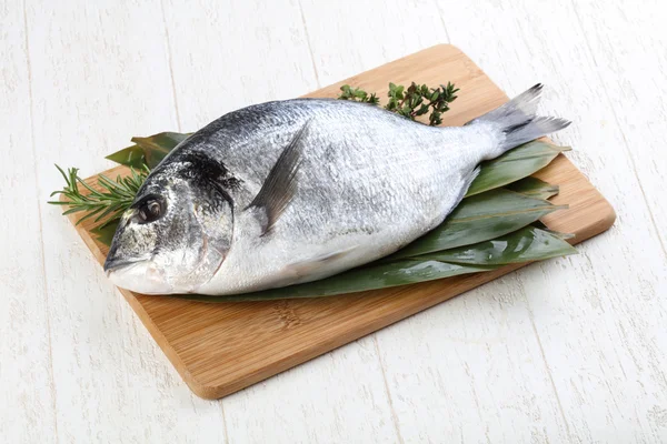 ham dorado balığı