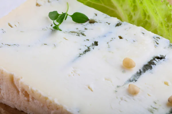 Delicious Gorgonzola cheese — Stock Photo, Image