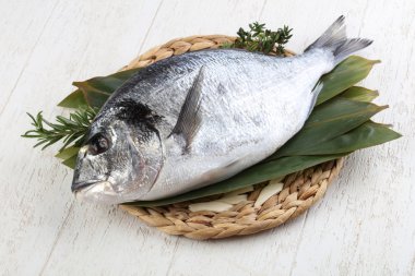 ham dorado balığı