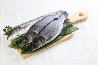 Çiğ deniz kabuğu balığı