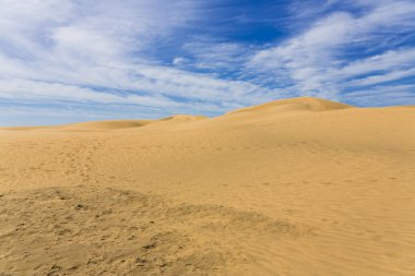 Kanarya çölde Gran Canaria ada