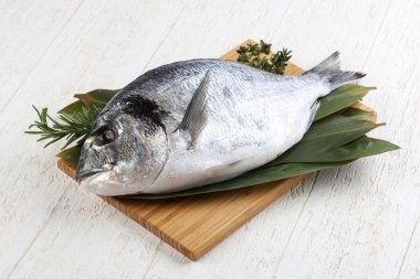 ham dorado balığı