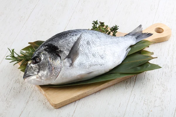 ham dorado balığı