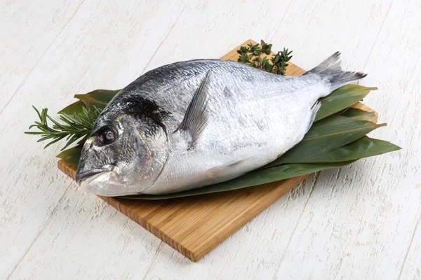 ham dorado balığı