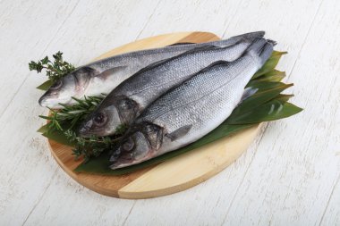 Çiğ deniz kabuğu balığı