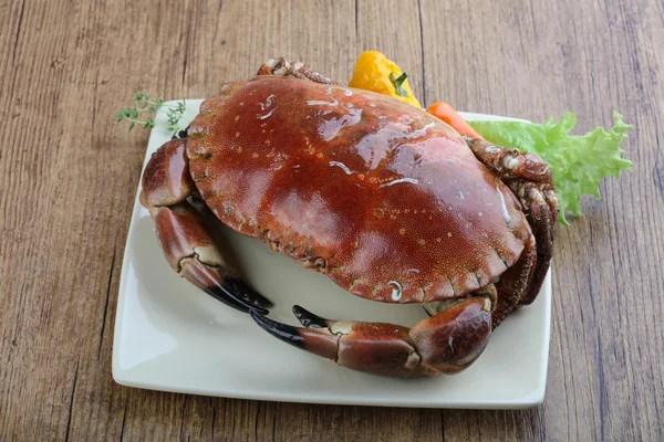 Heerlijke Stone crab — Stockfoto