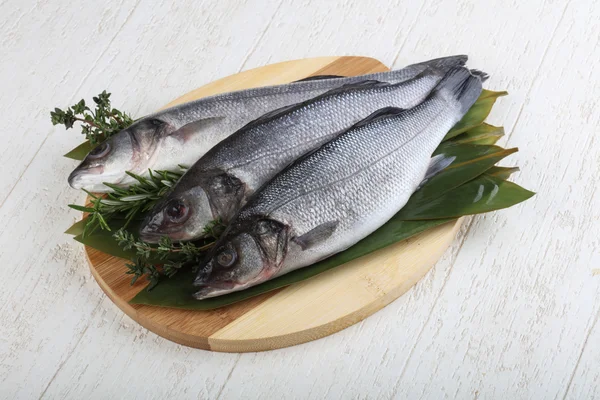 Çiğ deniz kabuğu balığı