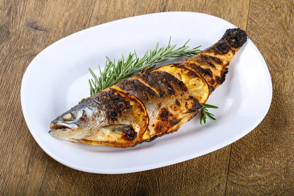 Grilled trout fish — Stock Photo, Image