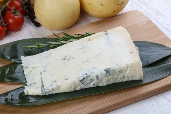 Soft Gorgonzola cheese — Stock Photo, Image