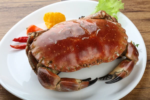 Delicious Stone crab — Stock Photo, Image