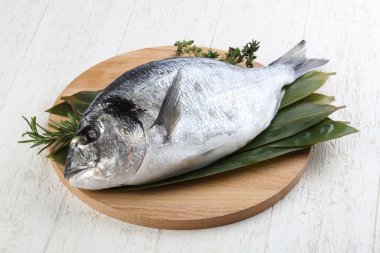 ham dorado balığı