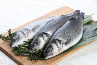 Çiğ deniz kabuğu balığı 