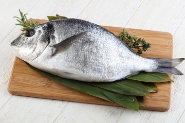 ham dorado balığı