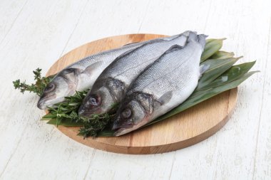 Çiğ deniz kabuğu balığı 