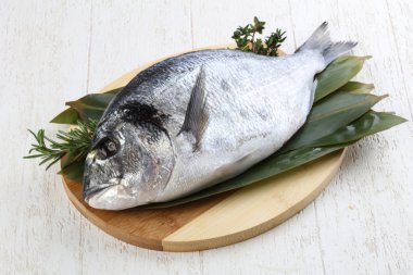 ham dorado balığı