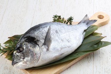 ham dorado balığı