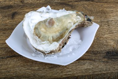 Taze çiğ istiridye