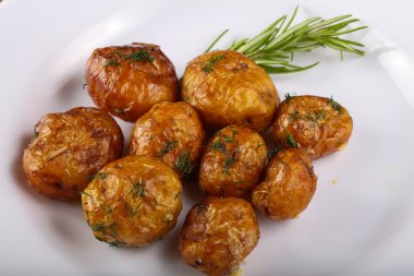 Genç fırında patates