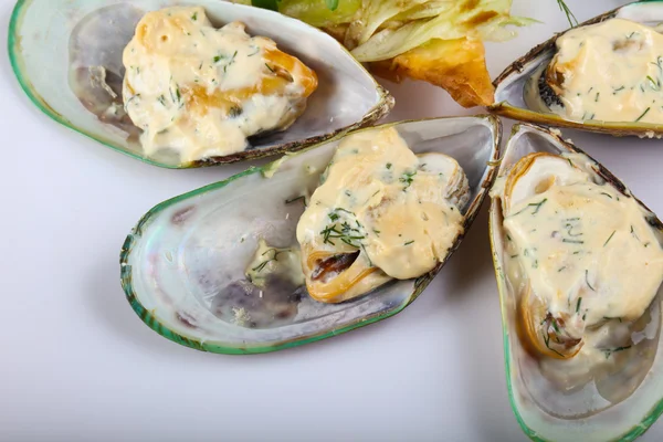 Baked mussels in cream sauce — Stock Photo, Image