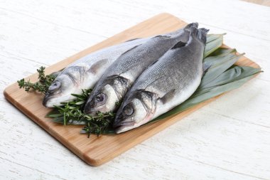 Çiğ deniz kabuğu balığı