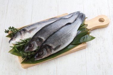 Çiğ deniz kabuğu balığı