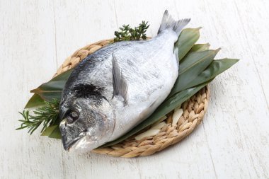 ham dorado balığı