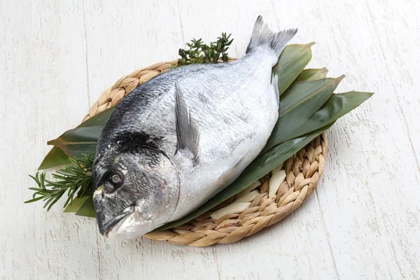 ham dorado balığı