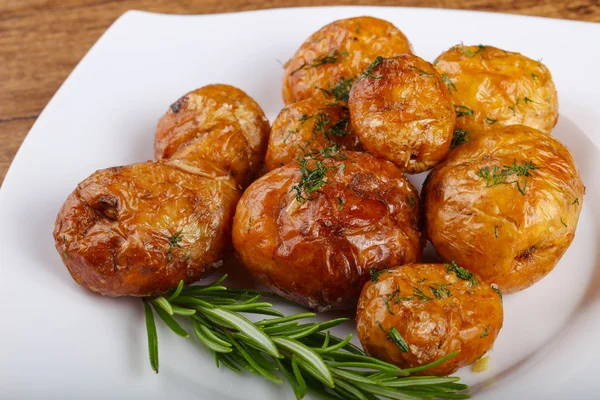 Young baked potato — Stock Photo, Image