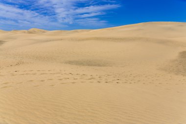 Kanarya çölde Gran Canaria ada
