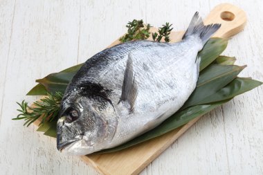 ham dorado balığı