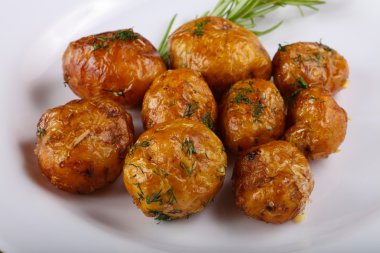 Genç fırında patates