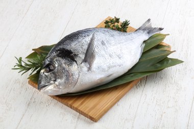 ham dorado balığı