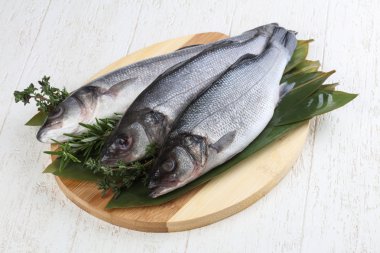 Çiğ deniz kabuğu balığı