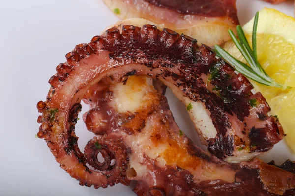 Delicious Grilled octopus — Stock Photo, Image