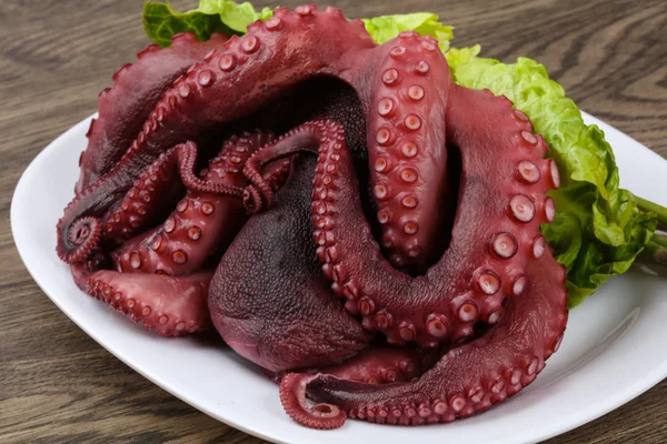 准备吃的水煮的章鱼 — 图库照片