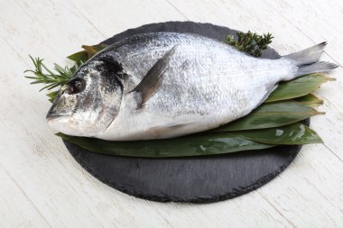 ham dorado balığı