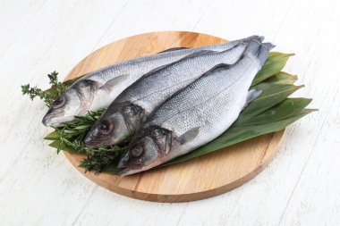 Çiğ deniz kabuğu balığı