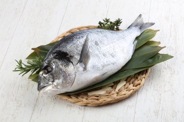 ham dorado balığı