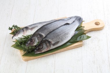 Çiğ deniz kabuğu balığı