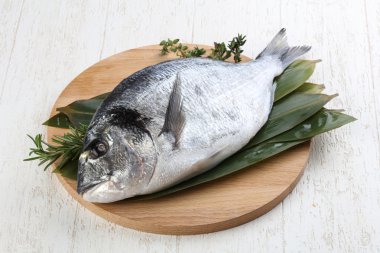 ham dorado balığı