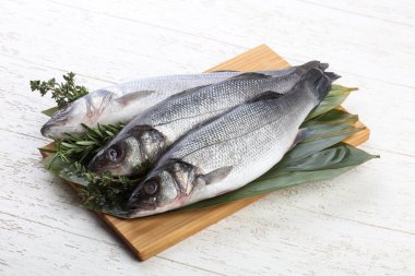 Çiğ deniz kabuğu balığı