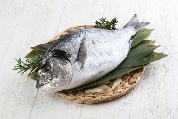 ham dorado balığı